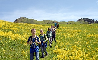 Wandern