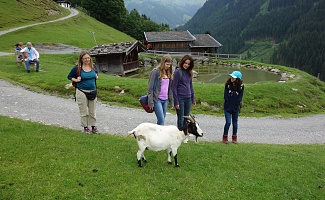 Wildpark