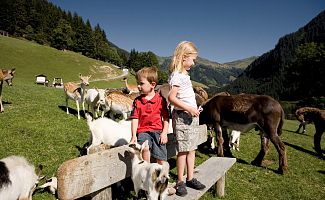Wildpark